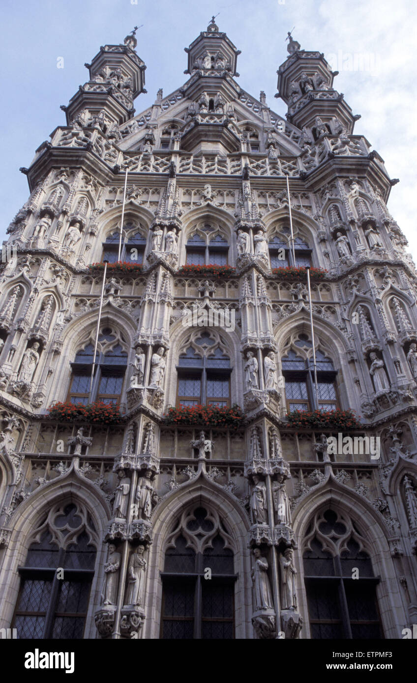 BEL, Belgien, Flandern, Louvain, das Rathaus.  BEL, Belgien, Flandern, Loewen, Das Rathaus. Stockfoto