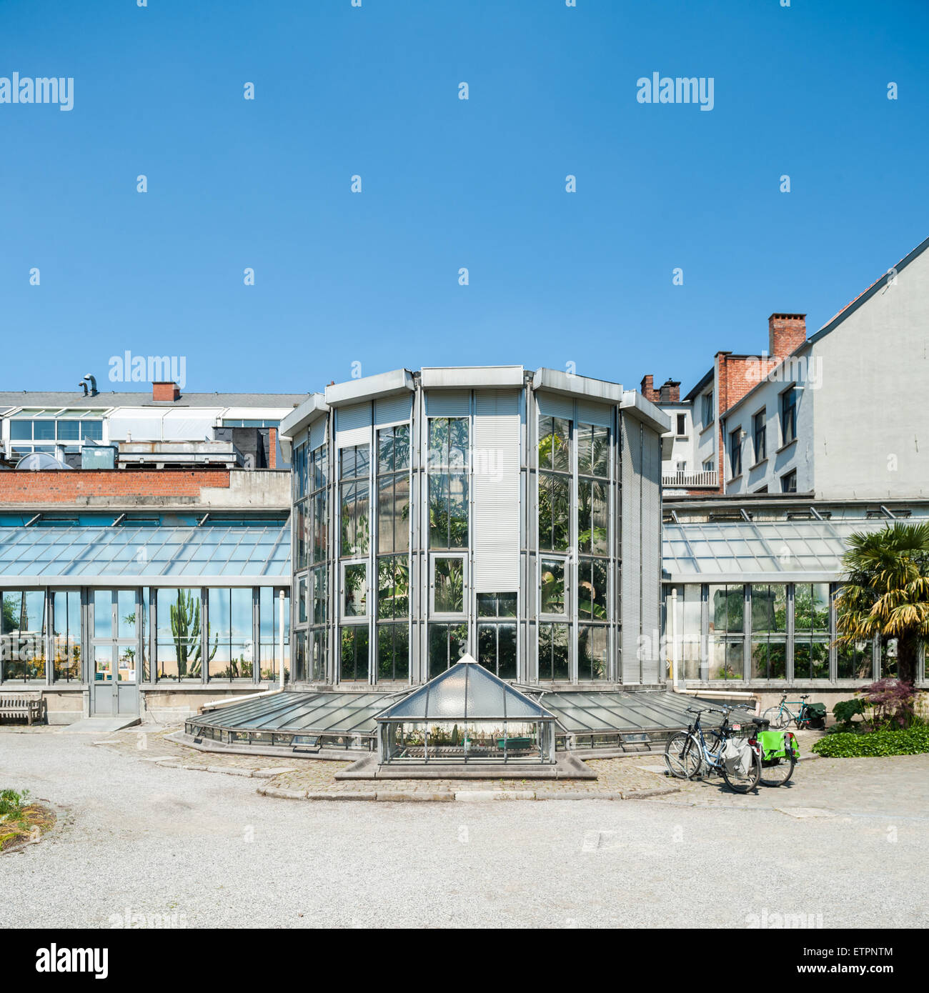 Belgien, Antwerpen, grün im Botanischen Garten Stockfoto