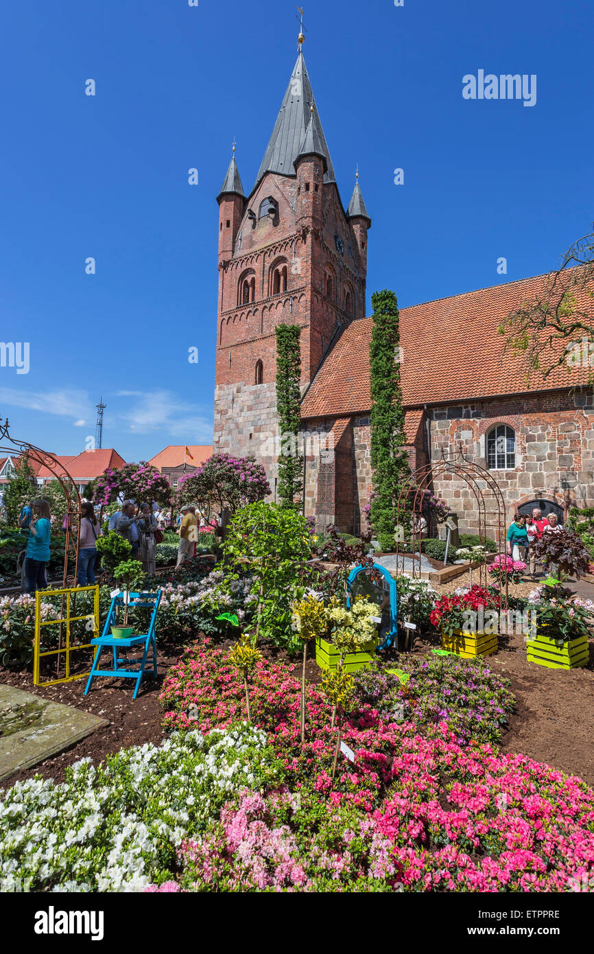 St.-Petri Kirche, Rhododendron Ausstellung "RHODO 2014" in Westerstede,  Ammerland, Niedersachsen, Deutschland Stockfotografie - Alamy