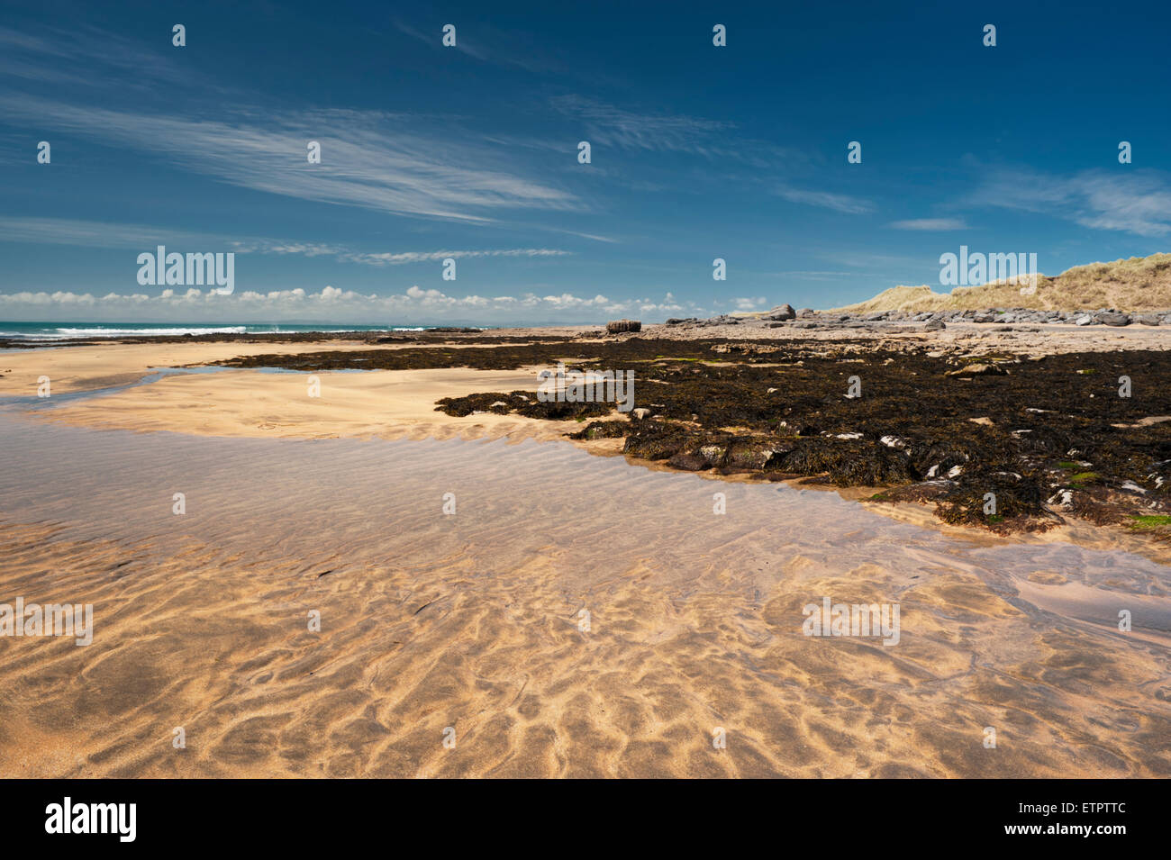 Fanore Strand, die Burren, Co Clare, Irland, erodierte Kalkstein Pflaster und die Fanore Sanddünen im Hintergrund Stockfoto