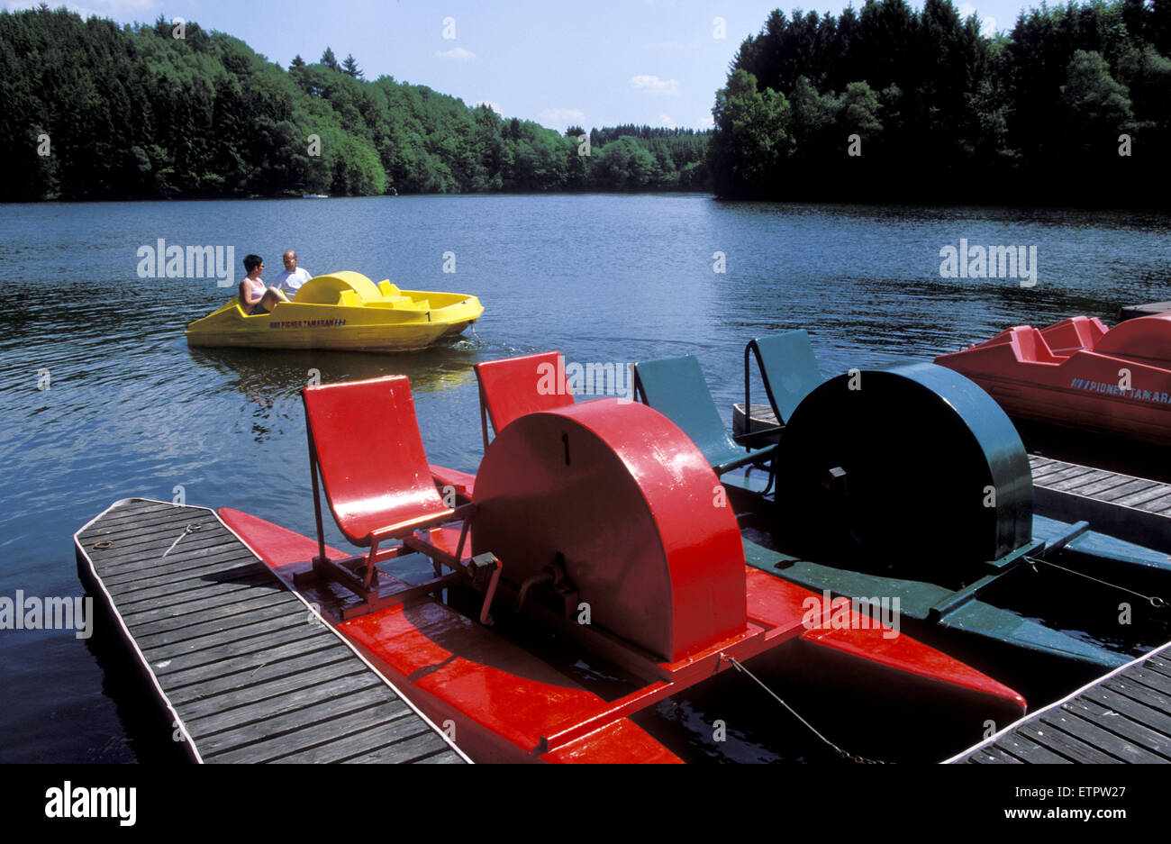 BEL, Belgien, Eastbelgium, See Robertville.  BEL, Belgien, Ostbelgien, der sehen von Robertville. Stockfoto