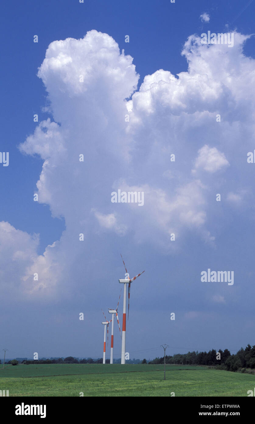 BEL, Belgien, Eastbelgium, Wind-Kraftwerk in der Nähe von Buetgenbach.  BEL, Belgien, Ostbelgien, Windkraftanlage Bei Buetgenbach. Stockfoto