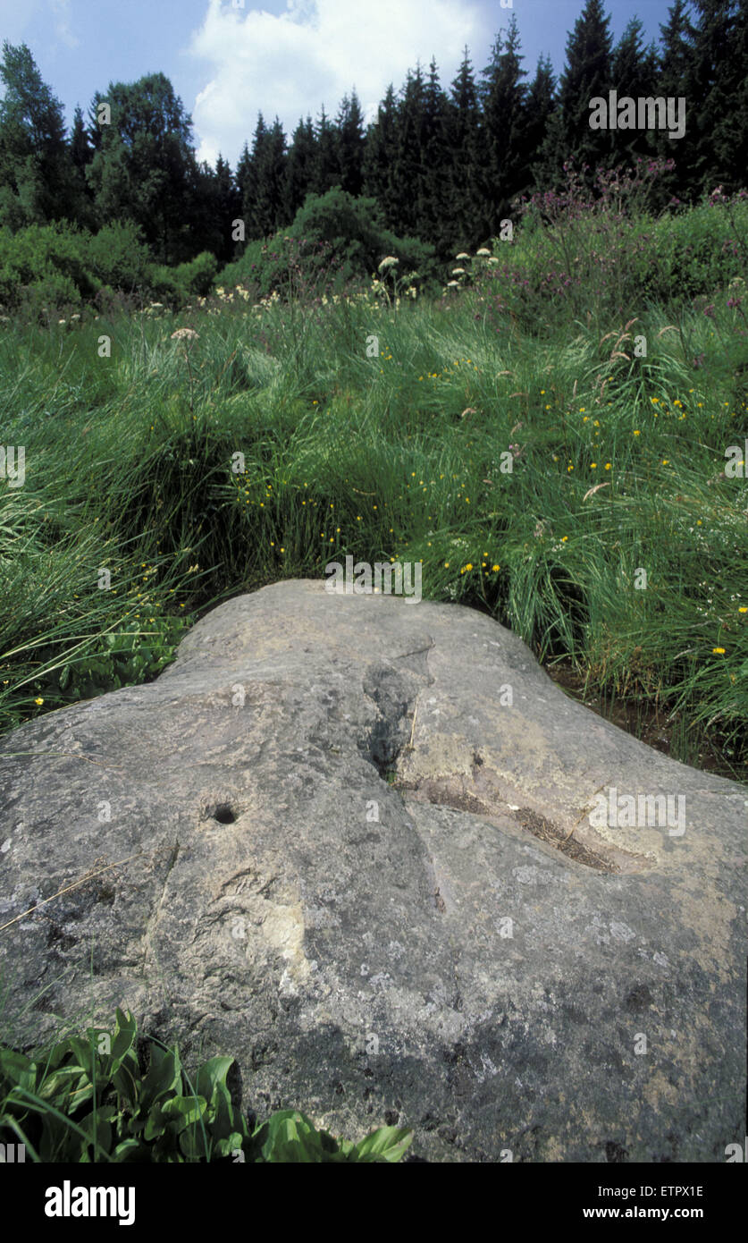 BEL, Belgien, Eastbelgium, der weiße Stein in Bocksvenn/Hautes Fagnes in der Nähe von Muerringen, Naturdenkmal, 2,50 x 2,00 m b Stockfoto