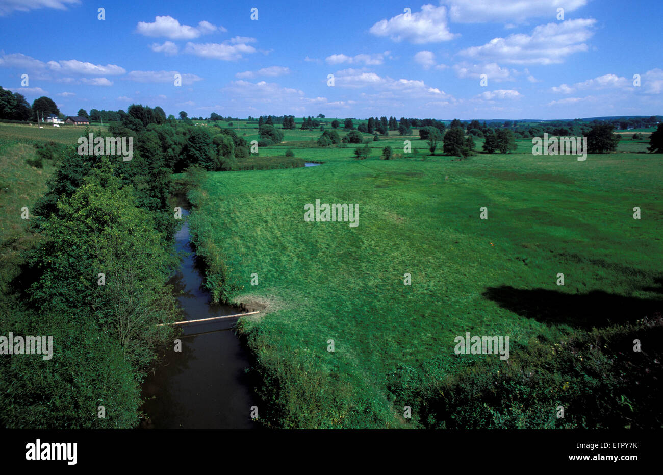 BEL, Belgien, Eastbelgium, den Fluss Ambleve in der Nähe von Ambleve-Montenau.  BEL, Belgien, Ostbelgien, sterben Amel Bei Amel-Montenau. Stockfoto