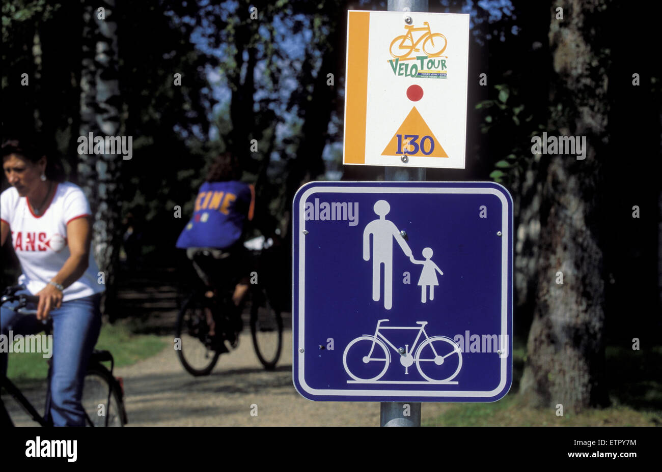 BEL, Belgien, Eastbelgium, Radweg in der Nähe von Ambleve-Montenau.  BEL, Belgien, Ostbelgien, Fahrradweg Bei Amel-Montenau, Velo-Tou Stockfoto