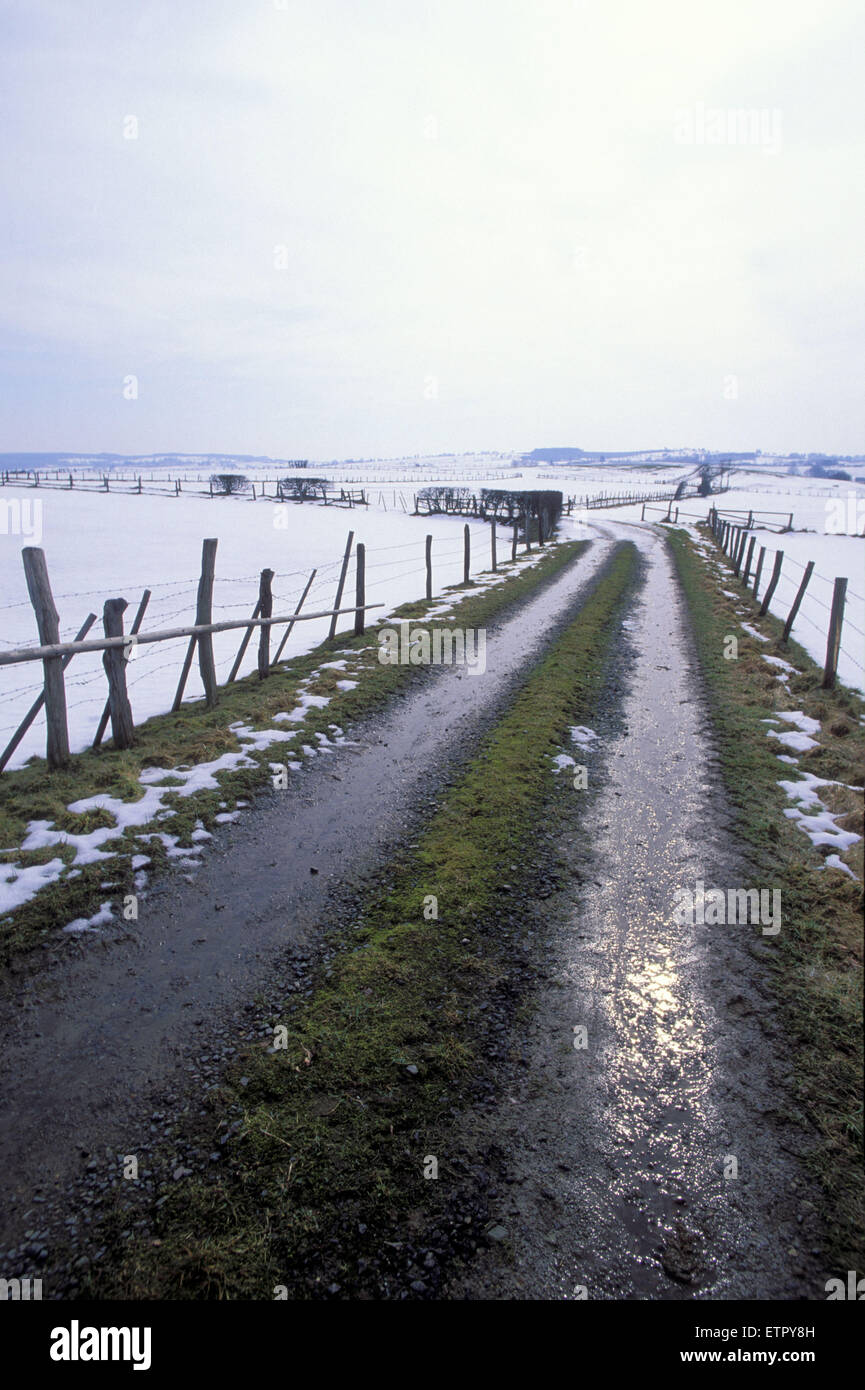 BEL, Belgien, Eastbelgium, Felder in der Nähe von Eibertingen in der Nähe von Ambleve.  BEL, Belgien, Ostbelgien, Felder Bei Eibertingen Nahe Amel. Stockfoto