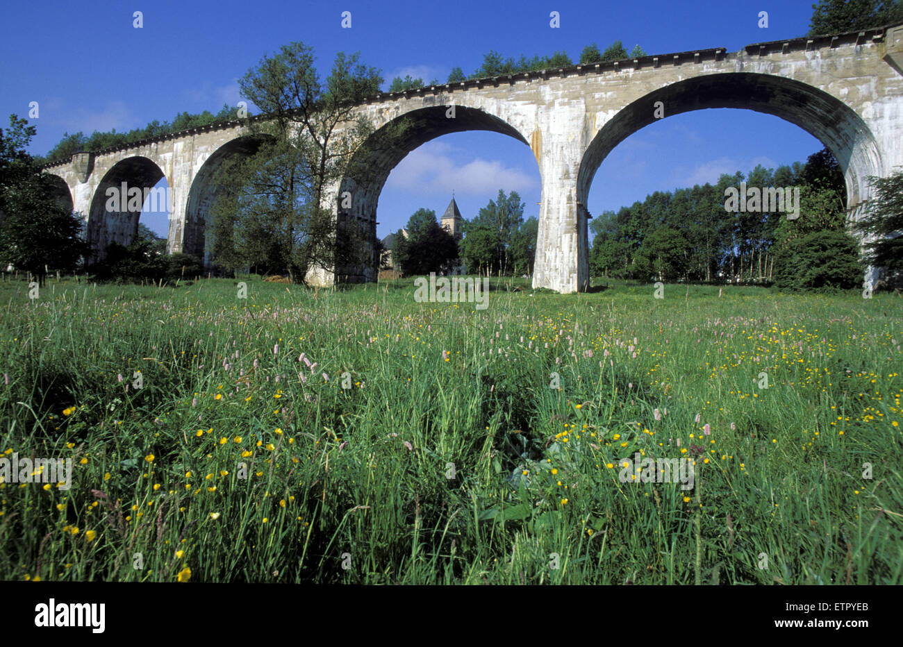 BEL, Belgien, Eastbelgium, Ambleve, alte Eisenbahnviadukt in Born.  BEL, Belgien, Ostbelgien, Amel, Altes Eisenbahnviadukt Bei Bor Stockfoto