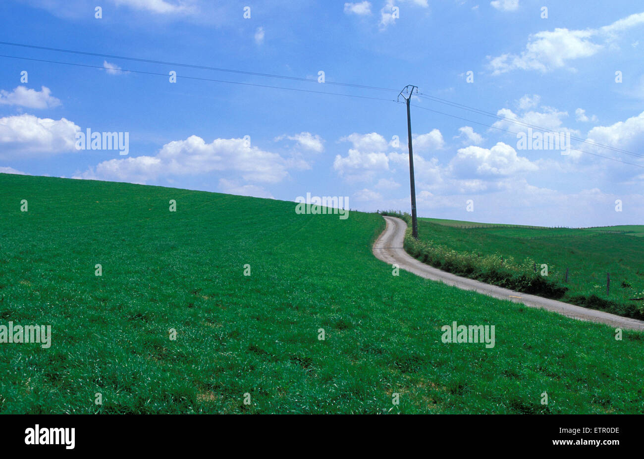 BEL, Belgien, Eastbelgium, Wiesen in der Nähe von Bracht in der Nähe von Burg Reuland.  BEL, Belgien, Ostbelgien, Wiesen Bei Bracht Nahe Burg Reuland Stockfoto