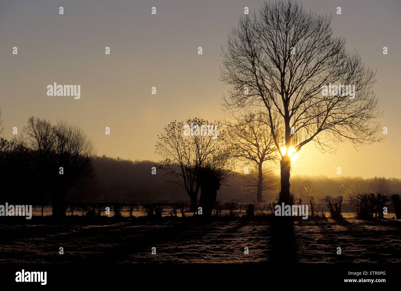 BEL, Belgien, Eastbelgium, Sonnenaufgang in der Nähe von Astenet.  BEL, Belgien, Ostbelgien, "Sonnenaufgang" Bei Astenet. Stockfoto