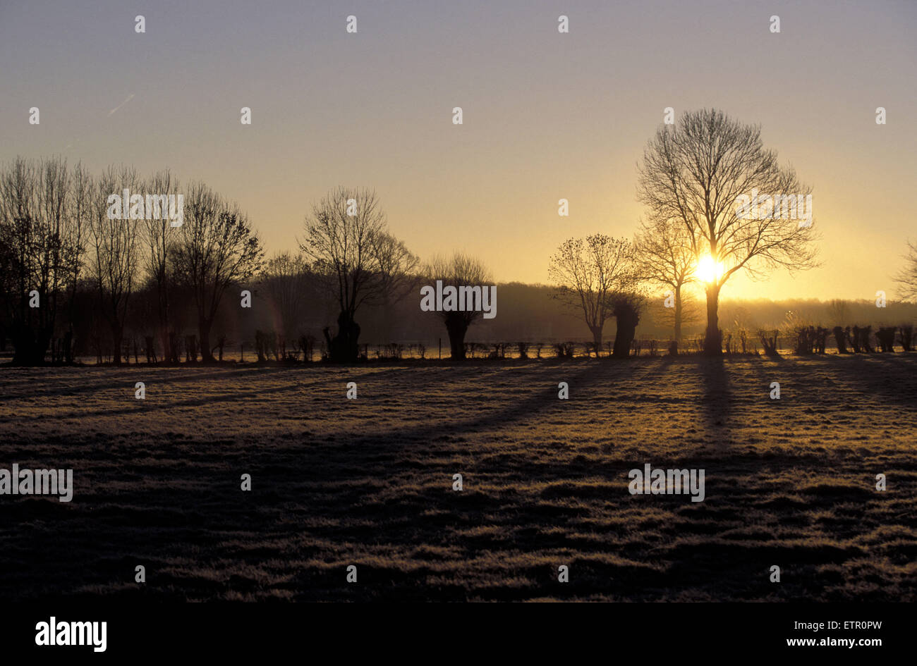BEL, Belgien, Eastbelgium, Sonnenaufgang in der Nähe von Astenet.  BEL, Belgien, Ostbelgien, "Sonnenaufgang" Bei Astenet. Stockfoto