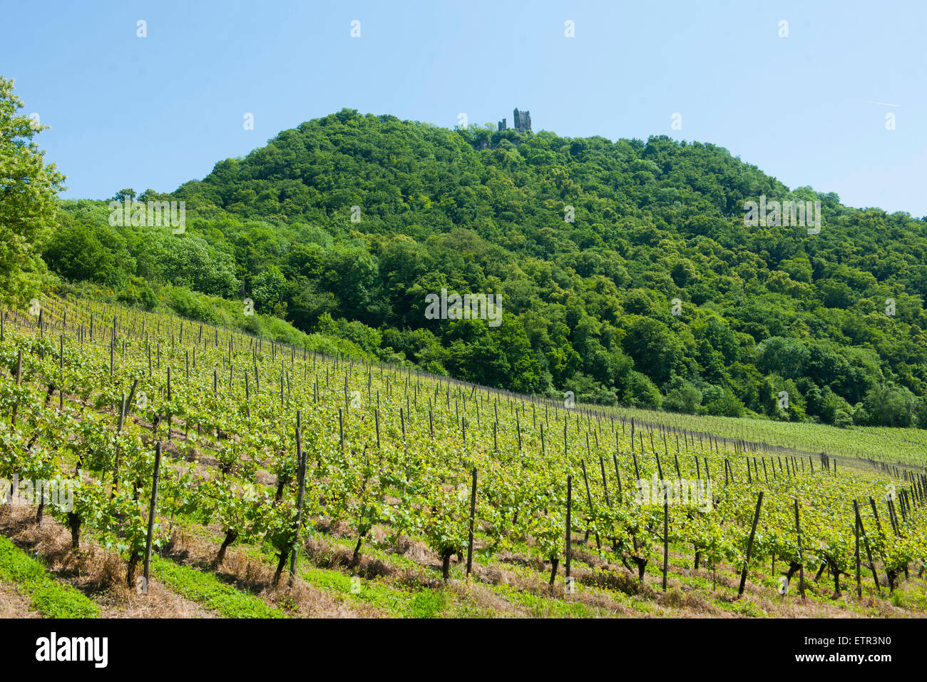 Honnef Rhondorf Stockfotos Honnef Rhondorf Bilder Alamy