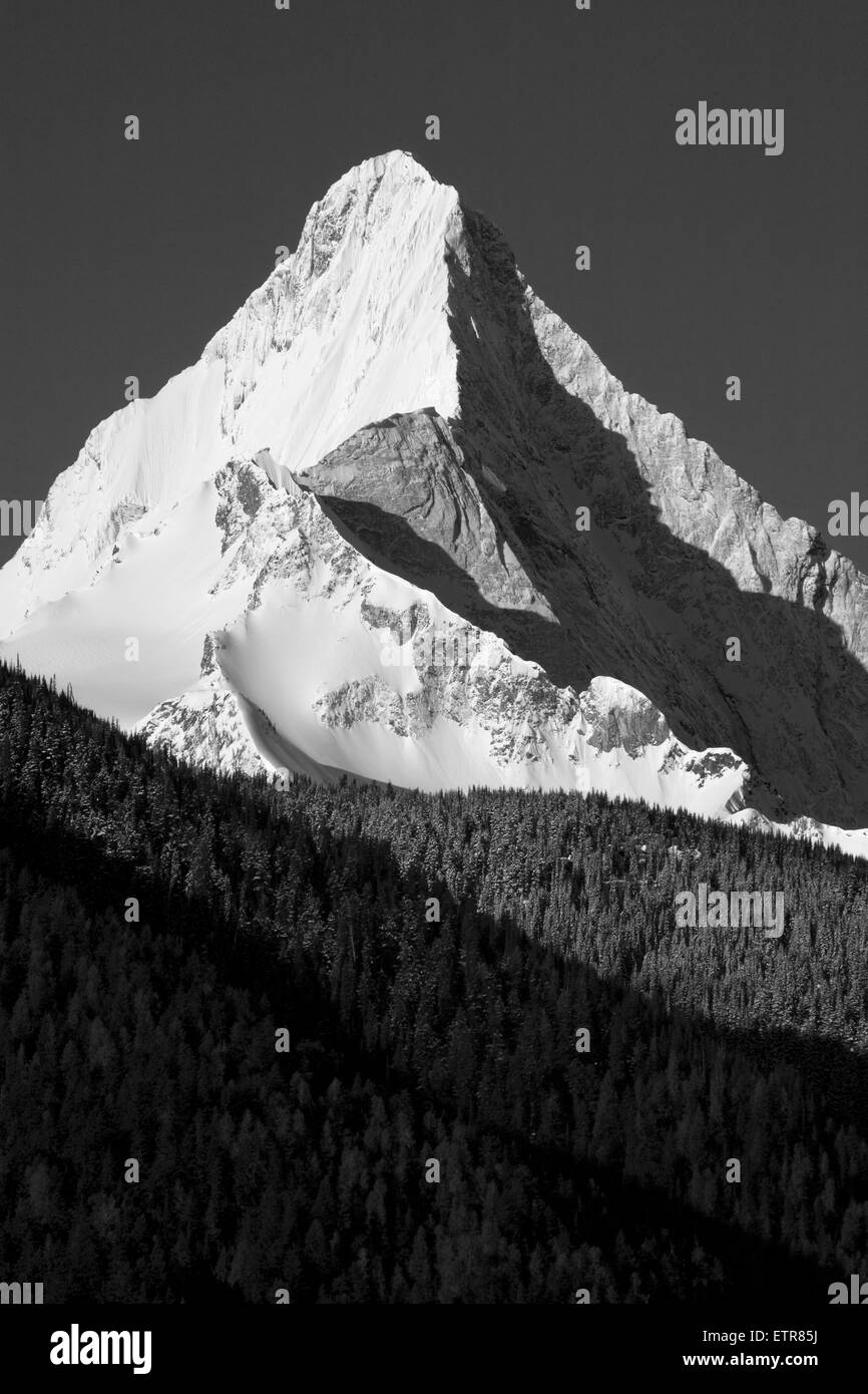 Einsam schroffe Berggipfel im Winter, Kanada, British Columbia, Adamant Berge Downie Peak Stockfoto