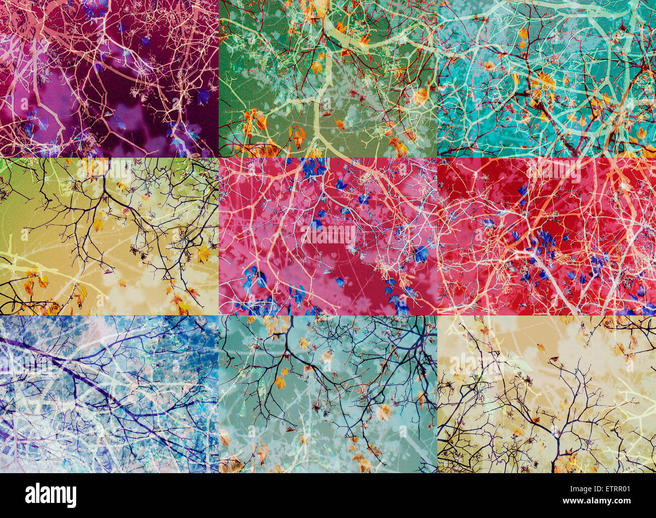 Collage aus geschichteten Fotos von Bäumen in multicolor Stockfoto