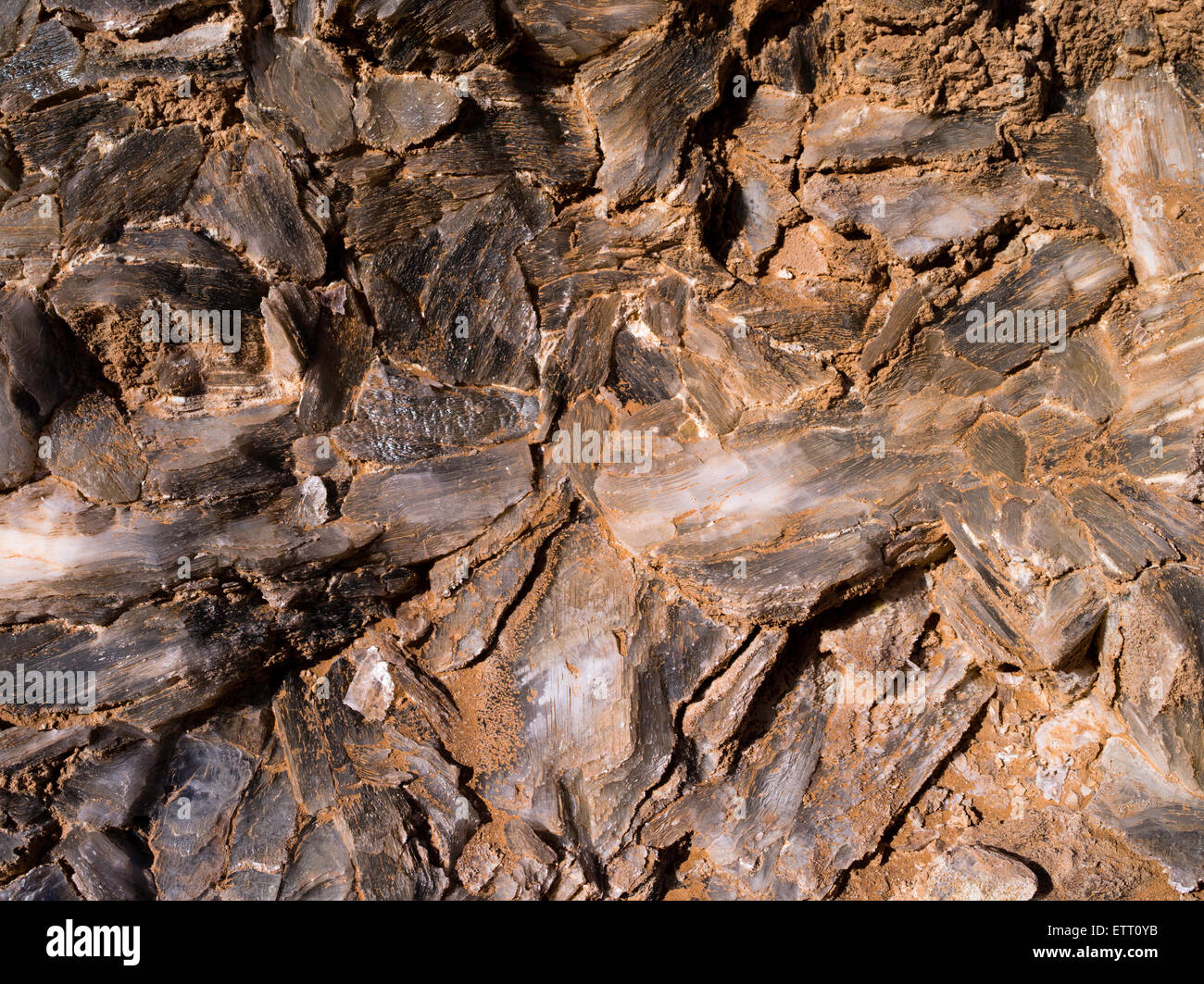 Nahaufnahme von selenit Kristalle (Gips, Calcium Sulfat) bei der gläserne Berg, Hartnett, Capitol Reef National Park, Utah Stockfoto