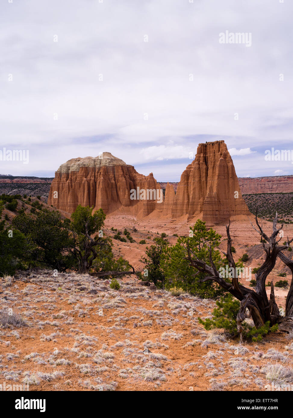 Blick auf den Dom: Tal des Capitol Reef National Park, Utah. Stockfoto