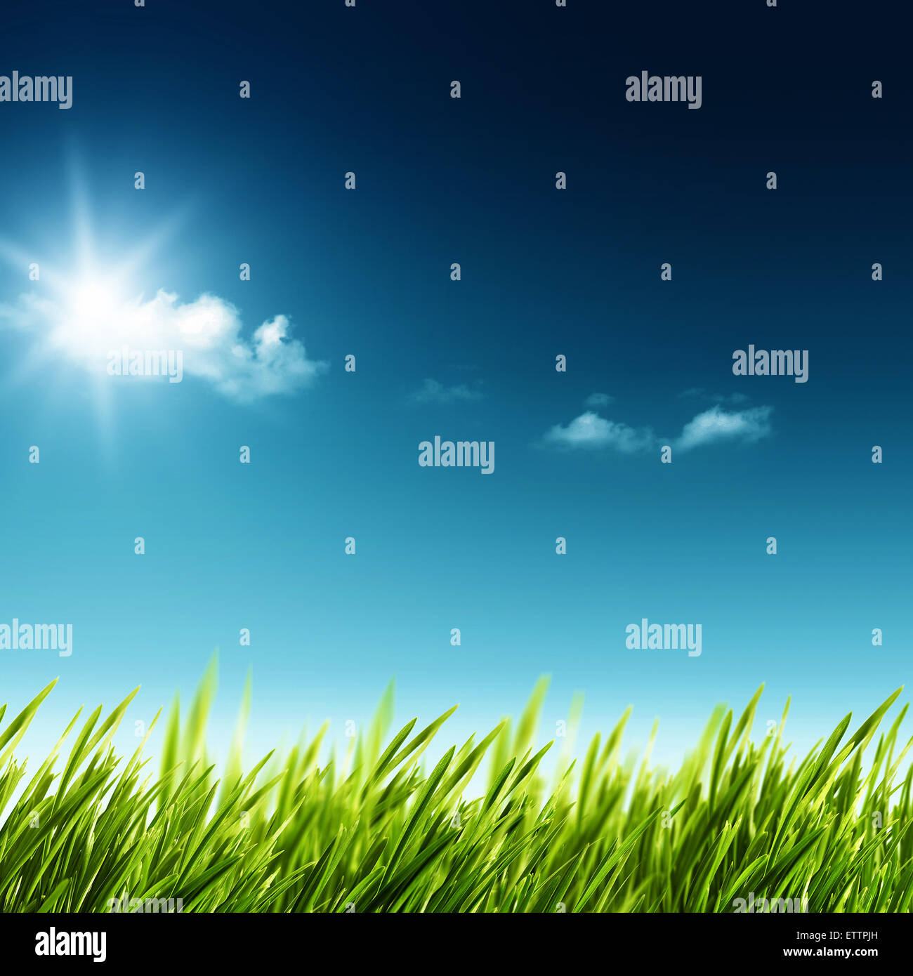 Schönheit Sommertag. Abstrakte Landschaft mit grünen Wiesen und blauem Himmel Stockfoto