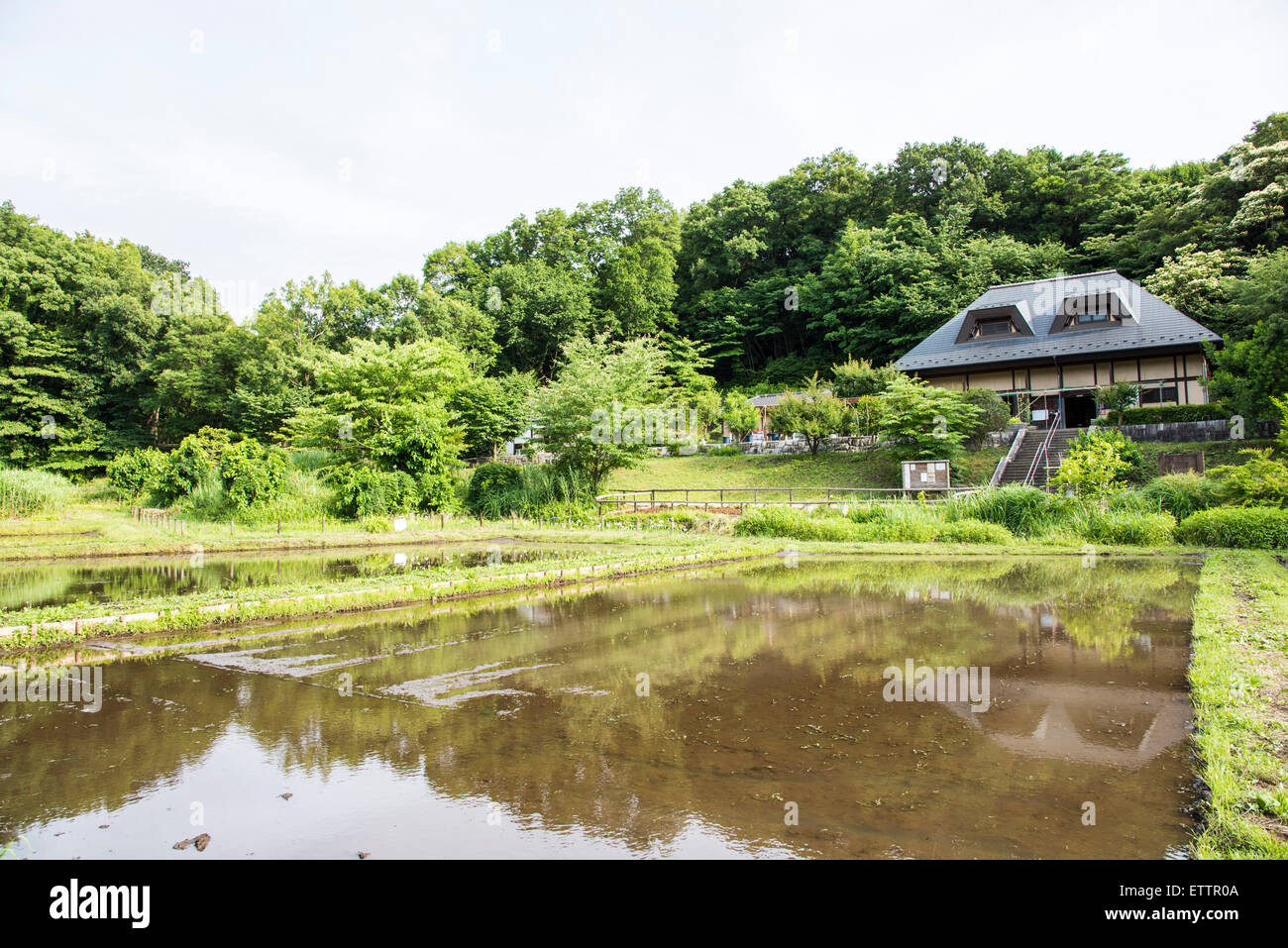 Yatoyama Park, Stadt Zama, Präfektur Kanagawa, Japan Stockfoto