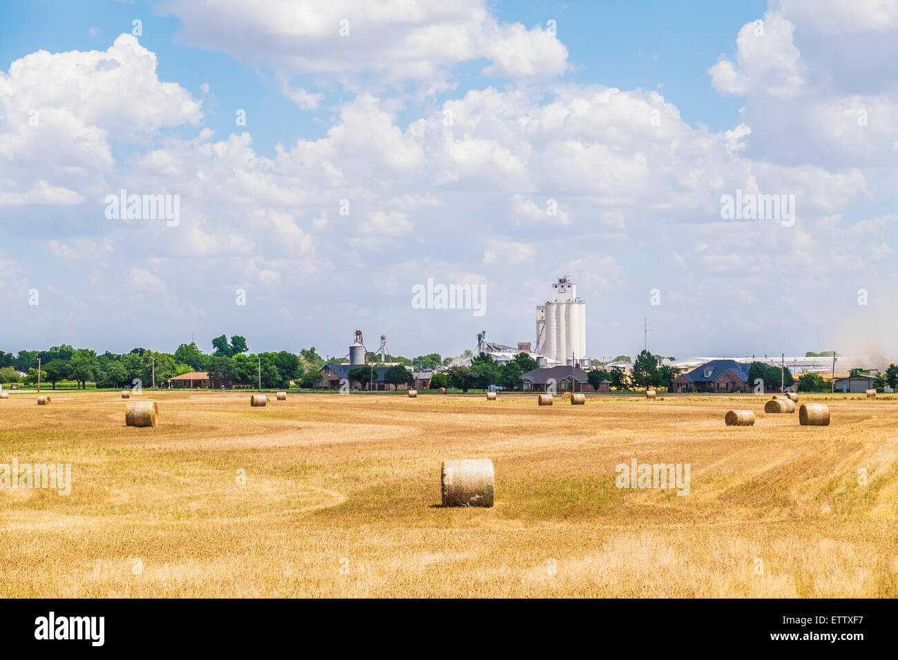 Eine schlechte Weizenernte passen nur für Ballenpressen für Heu Einstreu ein Feld mit einem Getreidesilo im Hintergrund. Oklahoma, USA. Stockfoto