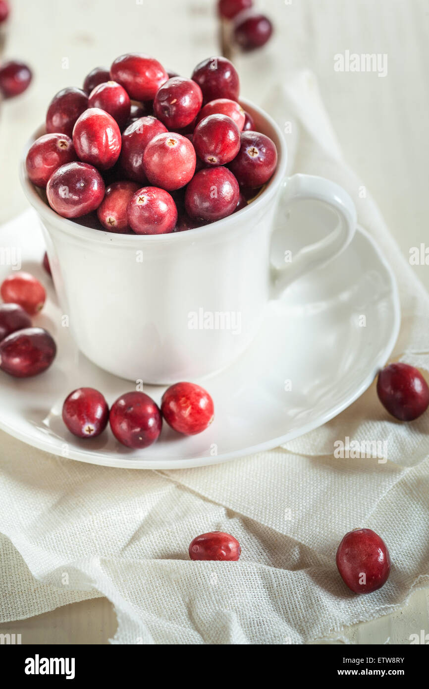 Frische Cranberries in eine Kaffeetasse Stockfoto