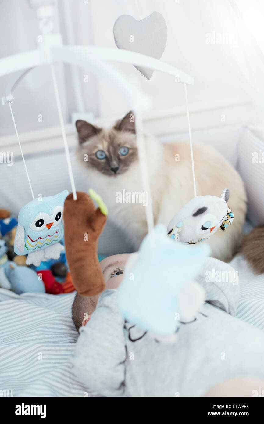 Baby im Kinderbett mit Blick auf Kuscheltiere Katze liegend Stockfoto