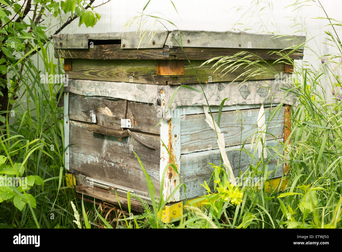 Einzigen russischen hölzernen Bienenstock in einem Dorf Garten Stockfoto