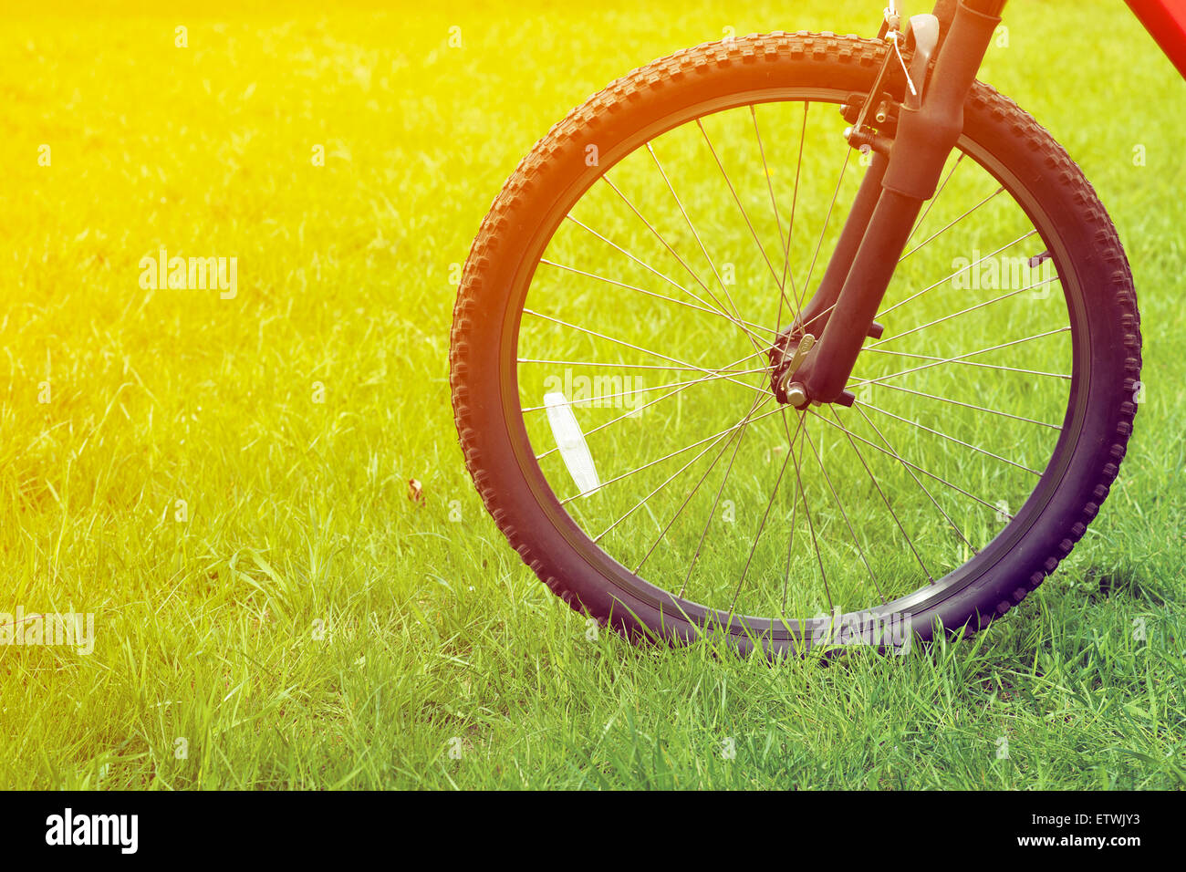 Fahrrad-Rad auf der frischen grünen Wiese mit Fokus auf Rad Stockfoto
