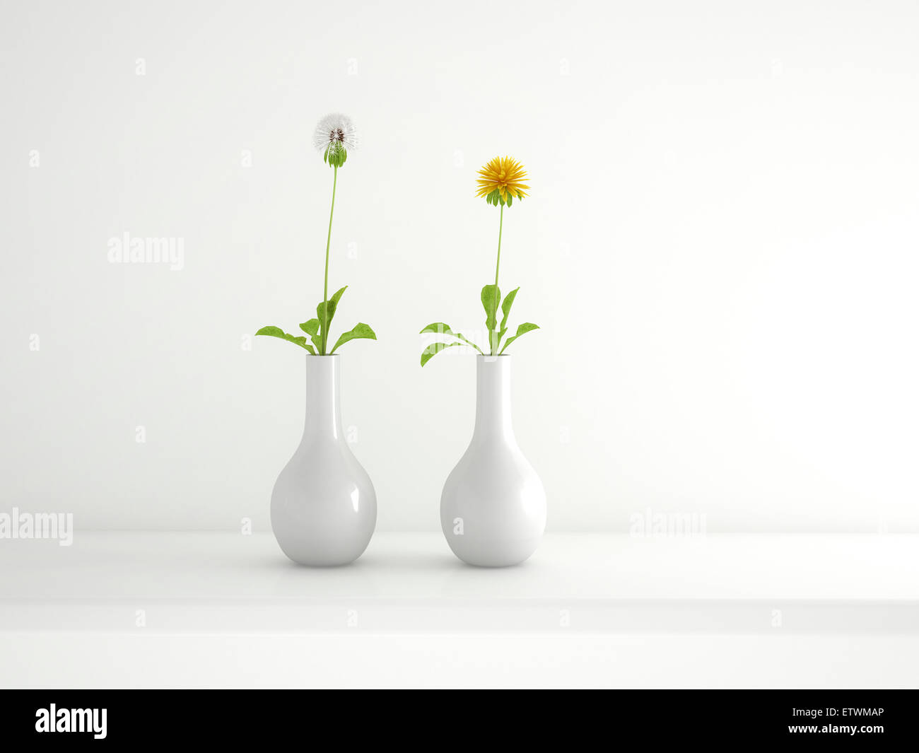 Zwei weiße Blumenvasen mit Pusteblumen und Löwenzahn, 3D Rendering Stockfoto