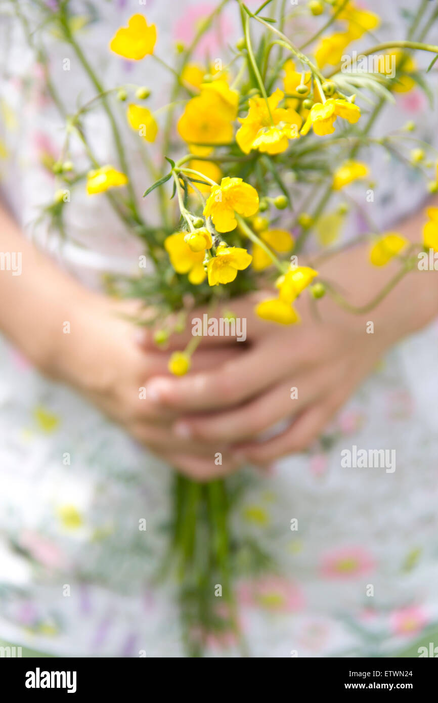 Kleines Mädchen Händen mit Haufen von Butterblumen Stockfoto