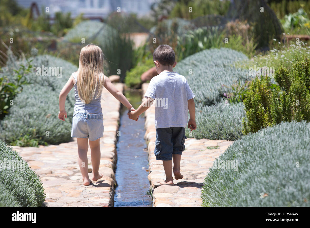 Kleine Jungen und Mädchen in einem Garten mit Lavendel Stockfoto