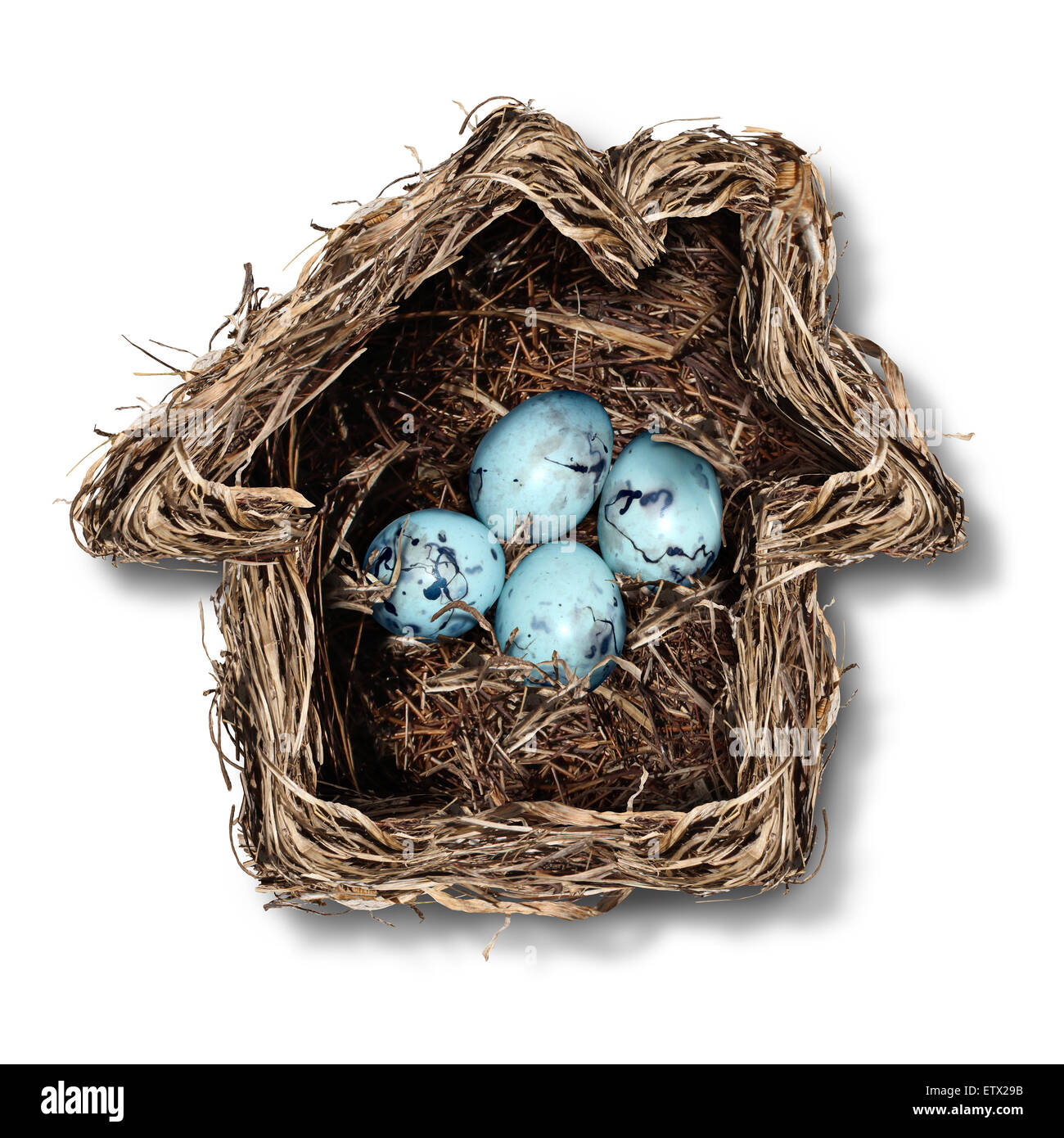 Nach Hause Versicherungskonzept und familiäre Sicherheitssymbol als ein Vogelnest, geformt wie ein Haus mit einer Gruppe zerbrechliche Eier im Inneren als Metapher für den Schutz des Wohnsitzes oder Elternschaft. Stockfoto