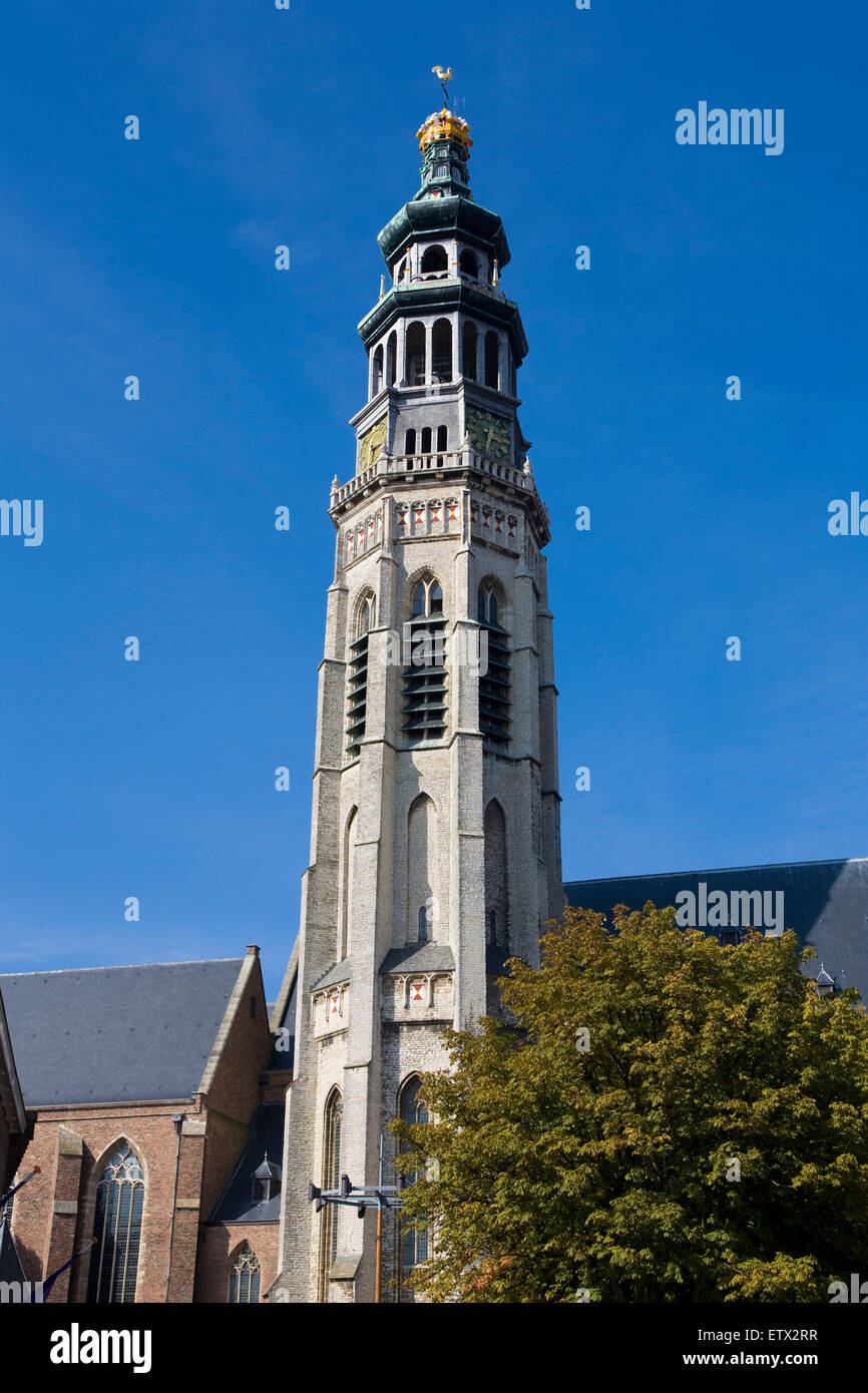 Europa, Niederlande, Zeeland, Middelburg auf der Halbinsel Walcheren, Turm der Kirche der Abtei, Nieuwe Kerk.   Euro Stockfoto