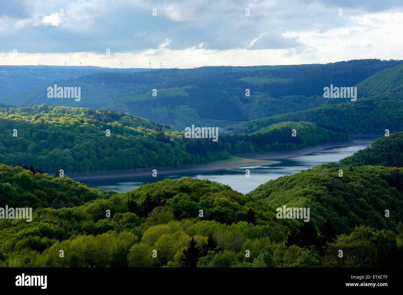 Schleiden, Deutschland, Wanderung entlang des Wildnis-Trail im Nationalpark Eifel Stockfoto