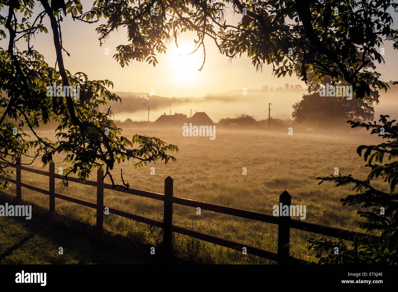 Sunrise nebligen Morgen über ländliche Wohnungen in Bathampton, Somerset, England, UK Stockfoto
