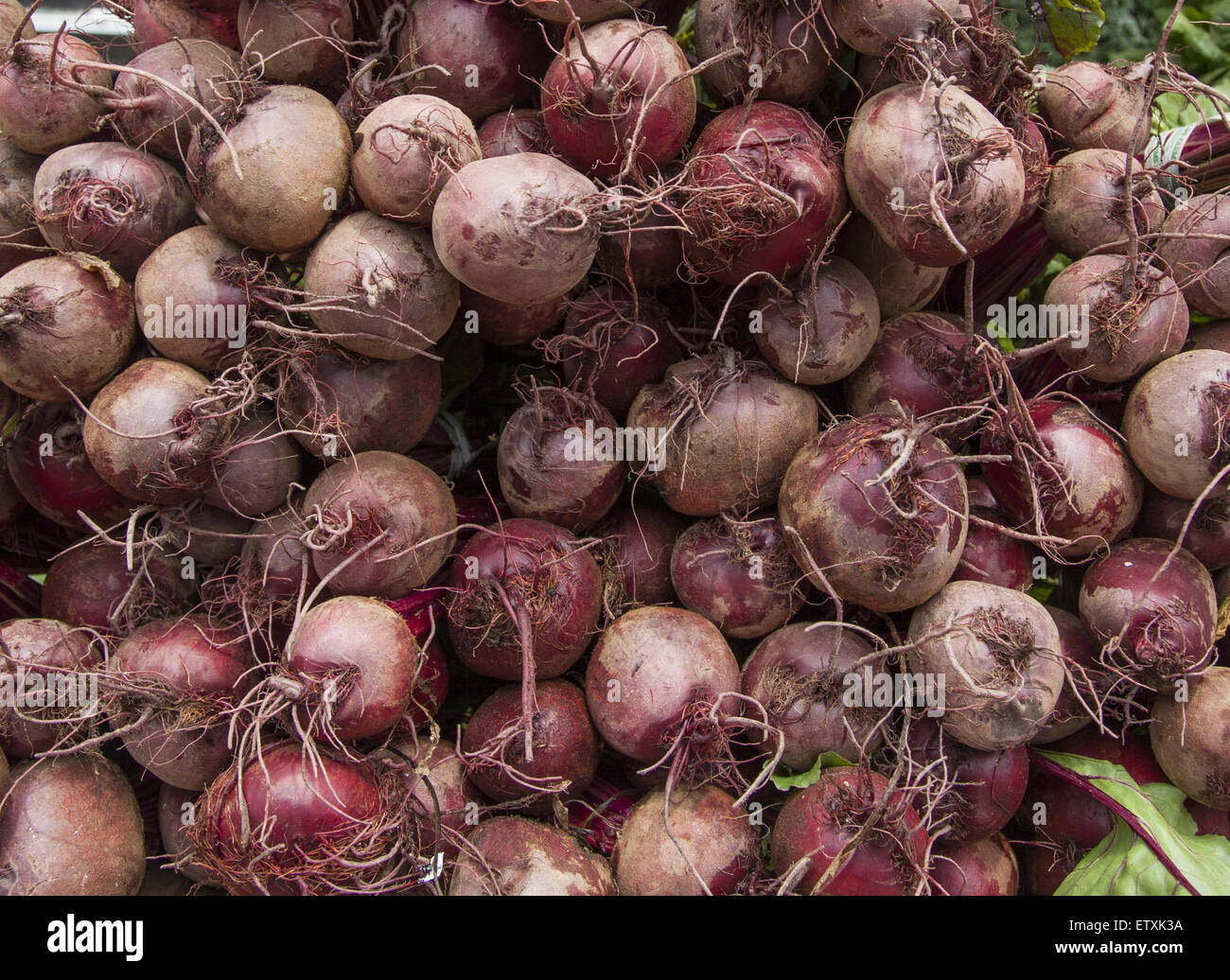 Frische rote Beete zum Verkauf an der Grand Army Plaza Farmers Market in Park Slope, Brooklyn, NY. Stockfoto