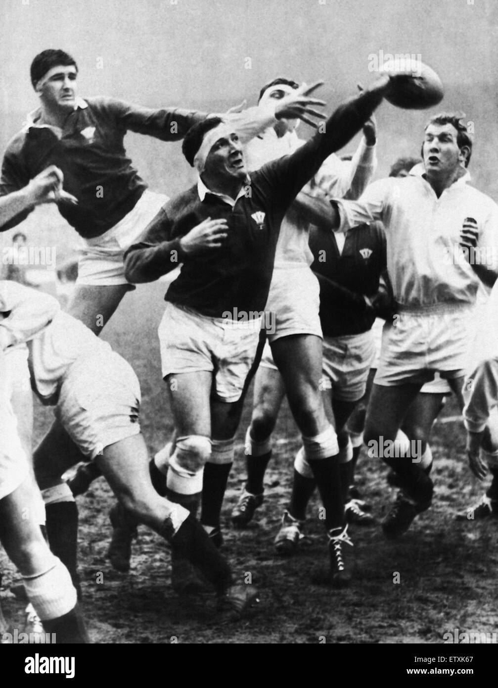 Wales nach vorne Denzil Williams erreicht den Ball in einen Lineout während das Länderspiel gegen England in Twickenham.  Januar 1968. Stockfoto