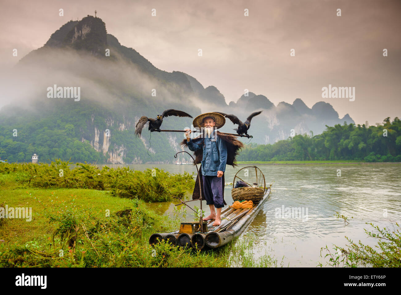 Kormoran Fischer und seine Vögel auf dem Li-Fluss in Yangshuo, Guangxi, China. Stockfoto