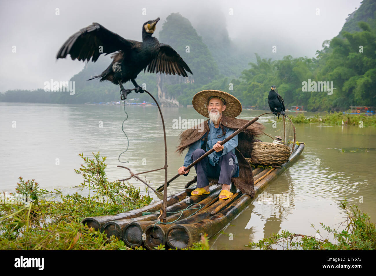 Kormoran Fischer und seine Vögel auf dem Li-Fluss in Yangshuo, Guangxi, China. Stockfoto