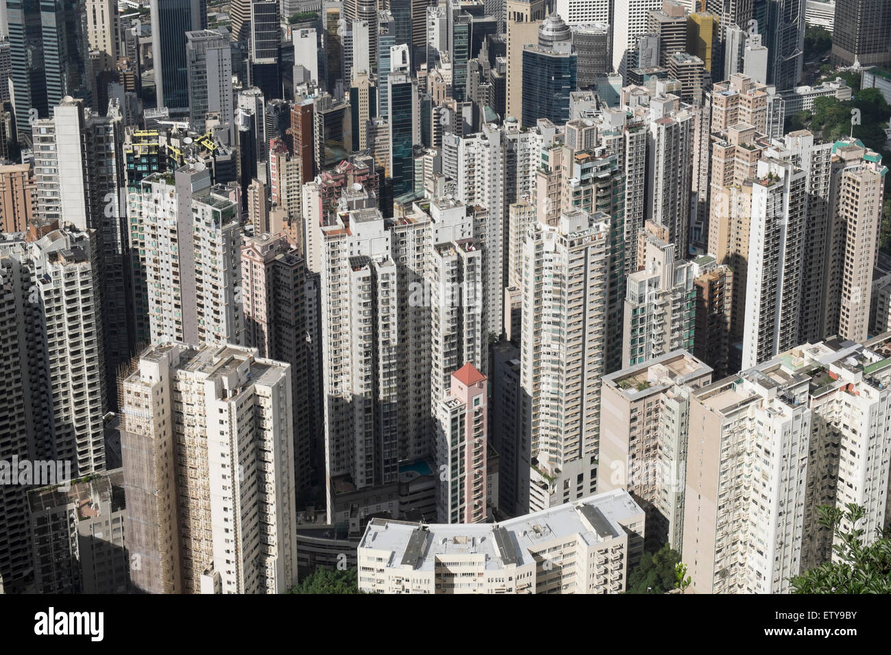 Blick auf vielen Wohnhochhäusern in dichten Stadtquartier von Hongkong China Stockfoto