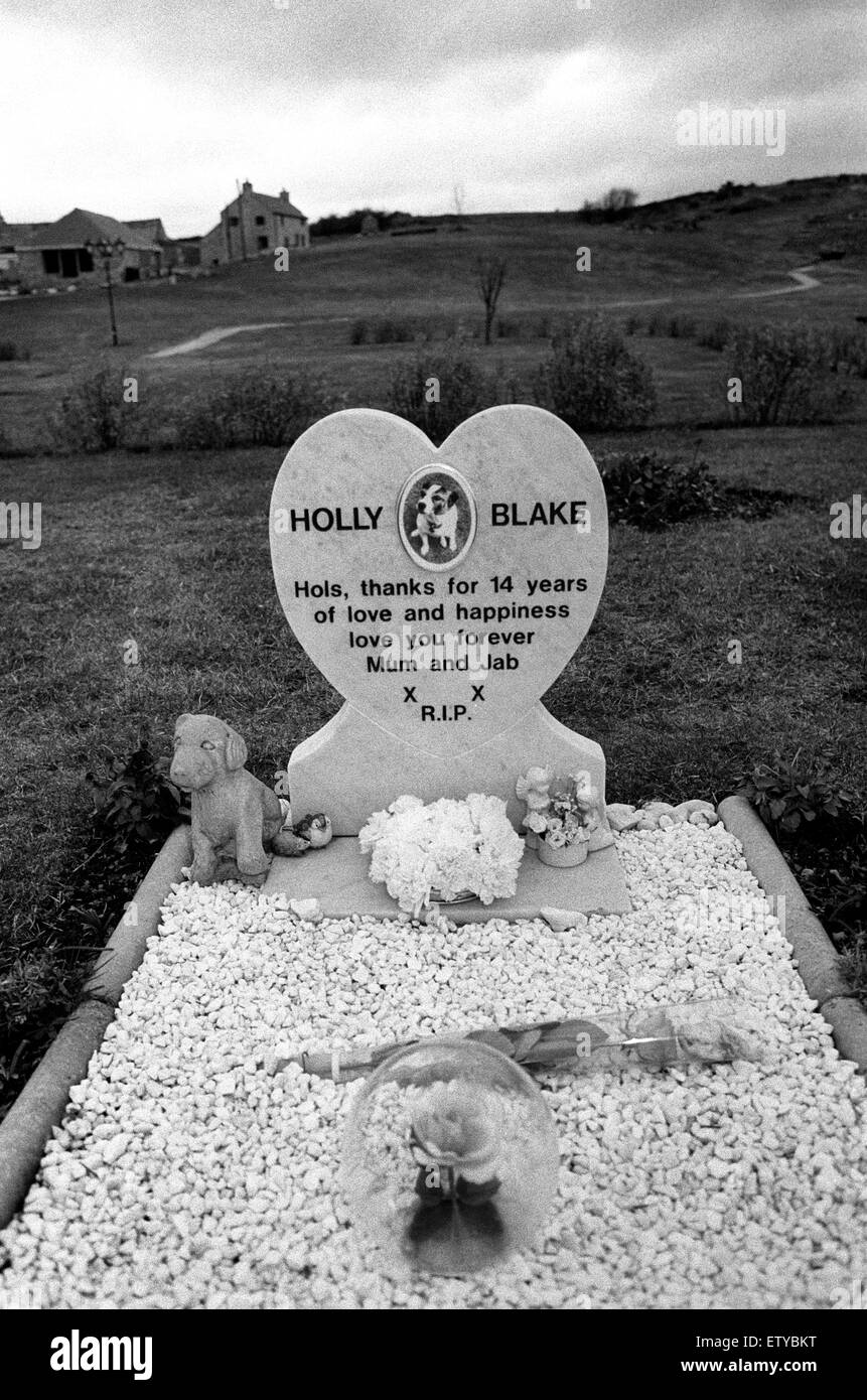 Tier-Friedhof mit Hunde-Grab Stockfoto