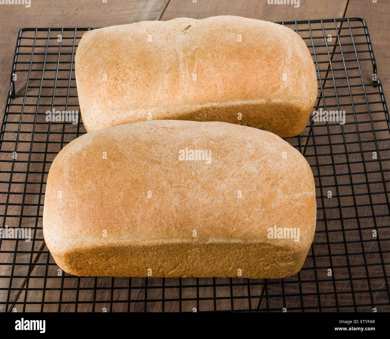 Brote von frisch gebackenem Vollkornbrot auf ein Kuchengitter Stockfoto
