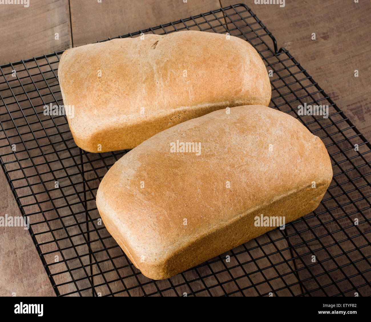 Brote von frisch gebackenem Vollkornbrot auf ein Kuchengitter Stockfoto