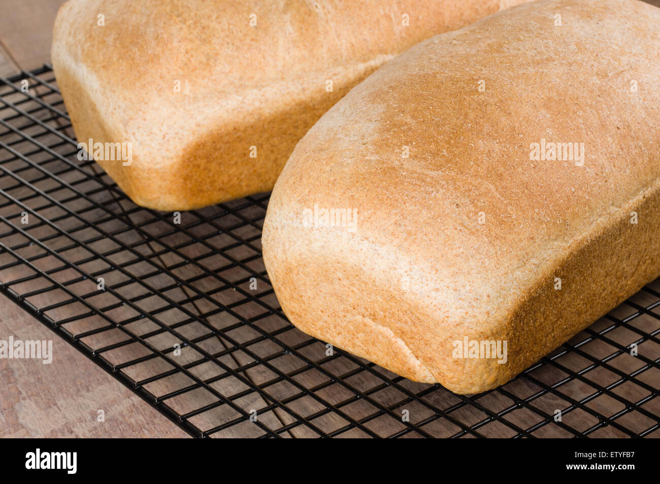 Brote von frisch gebackenem Vollkornbrot auf ein Kuchengitter Stockfoto