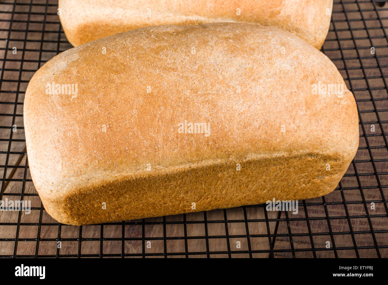Brote von frisch gebackenem Vollkornbrot auf ein Kuchengitter Stockfoto
