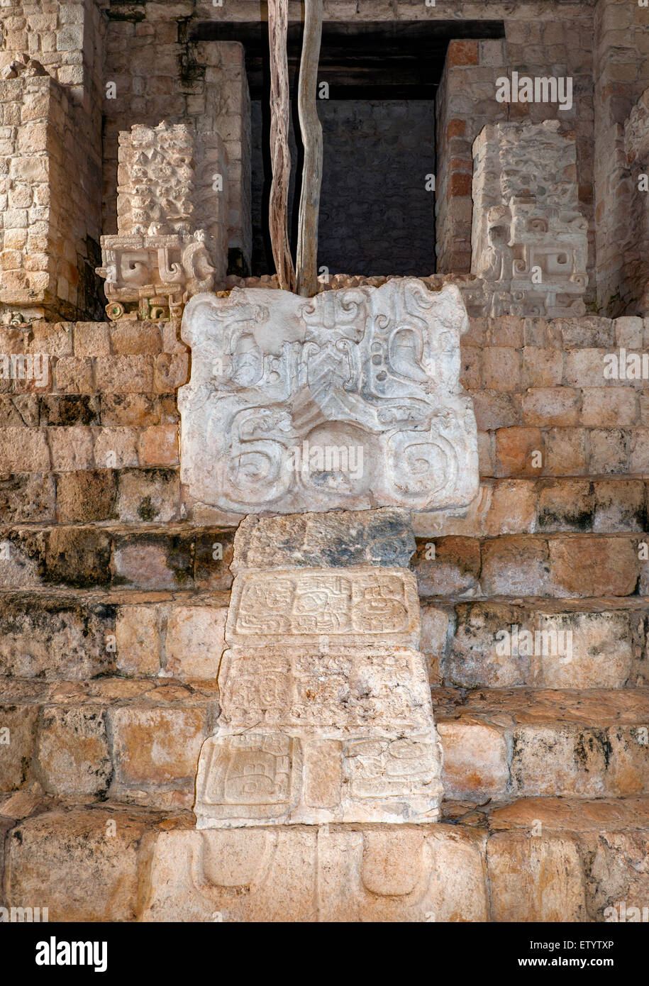 Kopf der Schlange mit Maya-Hieroglyphen, Flachrelief auf Akropolis Pyramide bei Ek Balam archäologische Zone, Bundesstaates Yucatán, Mexiko Stockfoto