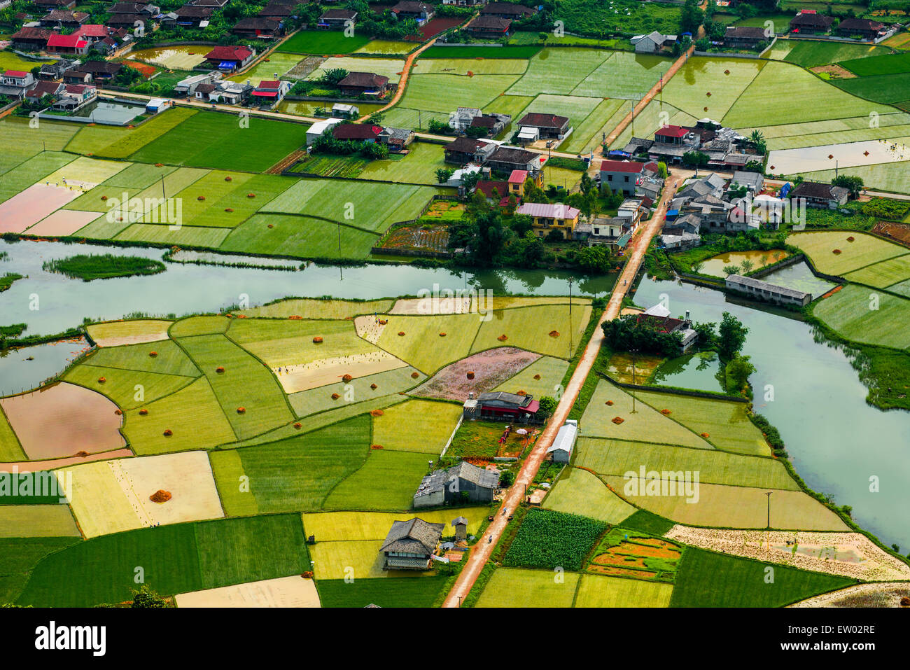 Reisfeld im Tal in Bacson, Langson, Vietnam Stockfoto