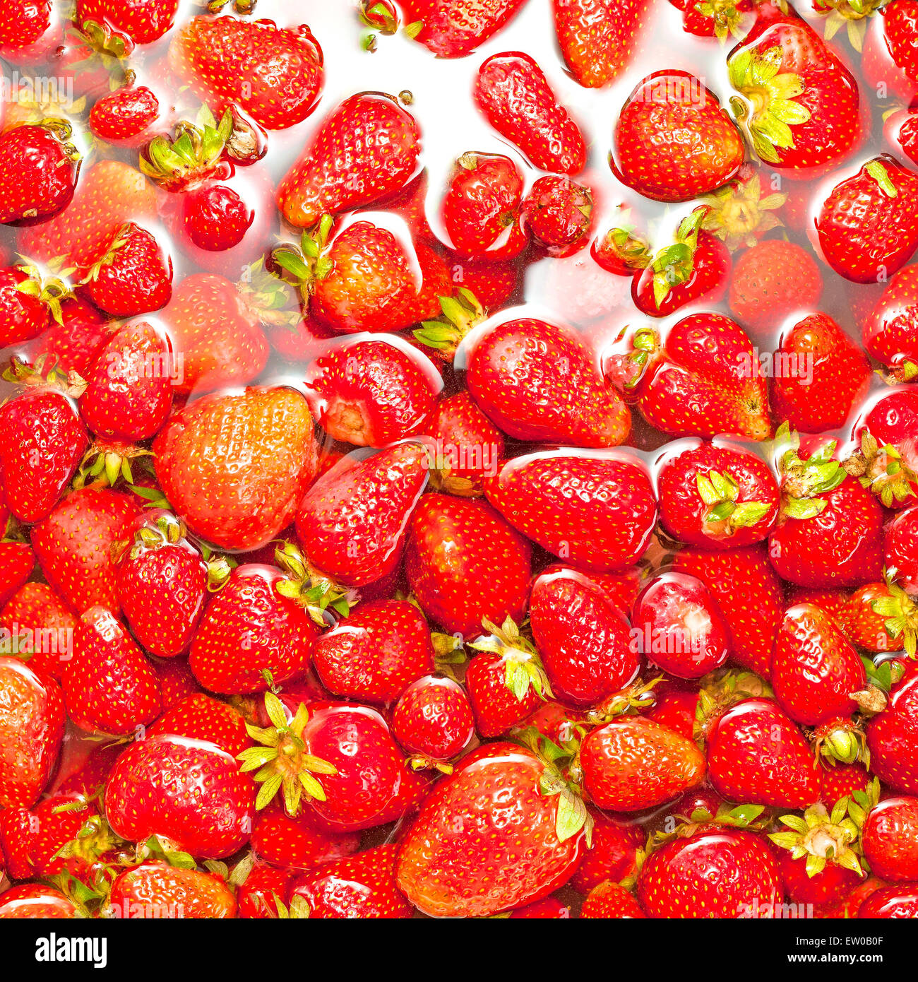 Reife Erdbeeren in Wasser, Natur Hintergrund. Stockfoto
