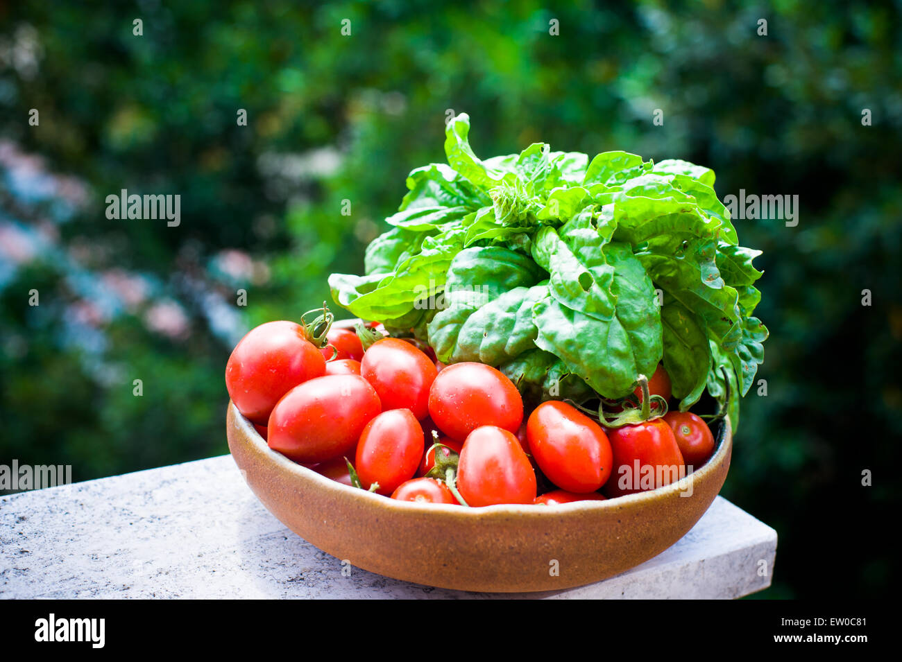Teller mit rohen roten Tomaten und frischen Basilikum auf Gartenterrasse Stockfoto