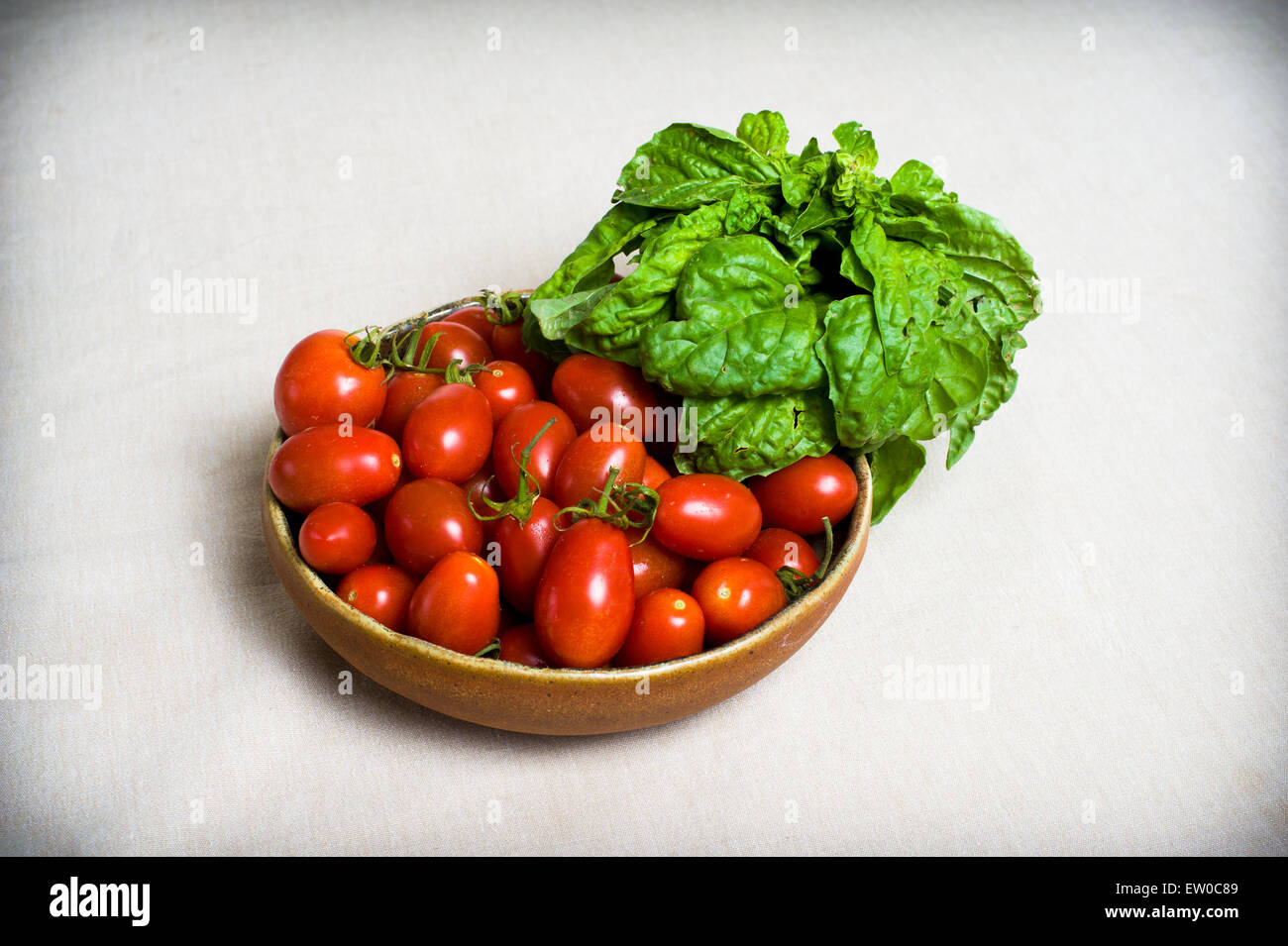 Teller mit rohen roten Tomaten und Basilikum frisch am Tisch neutralem Hintergrund Stockfoto