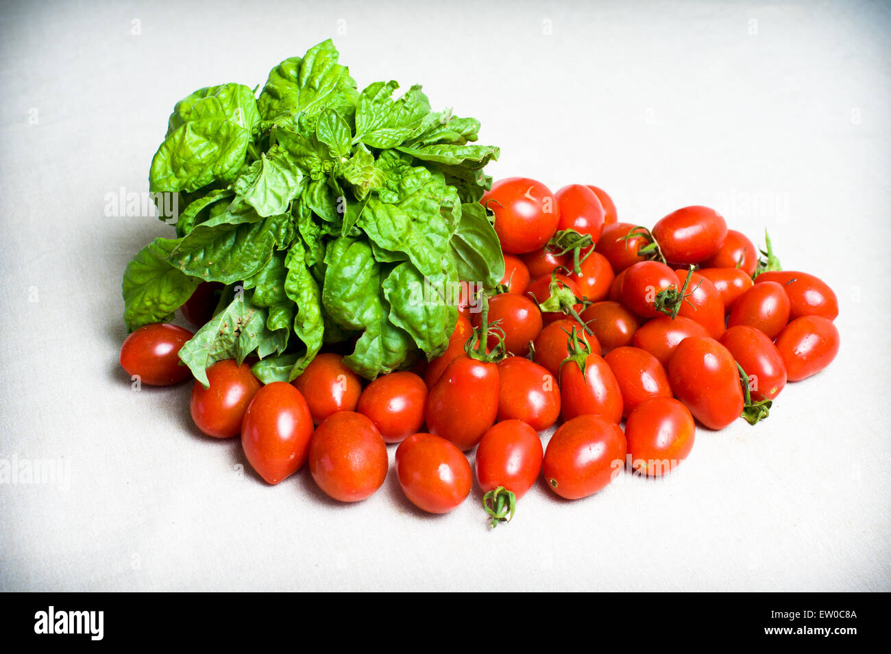 Rohe rote Tomate und Basilikum frisch am Tisch neutralem Hintergrund Stockfoto