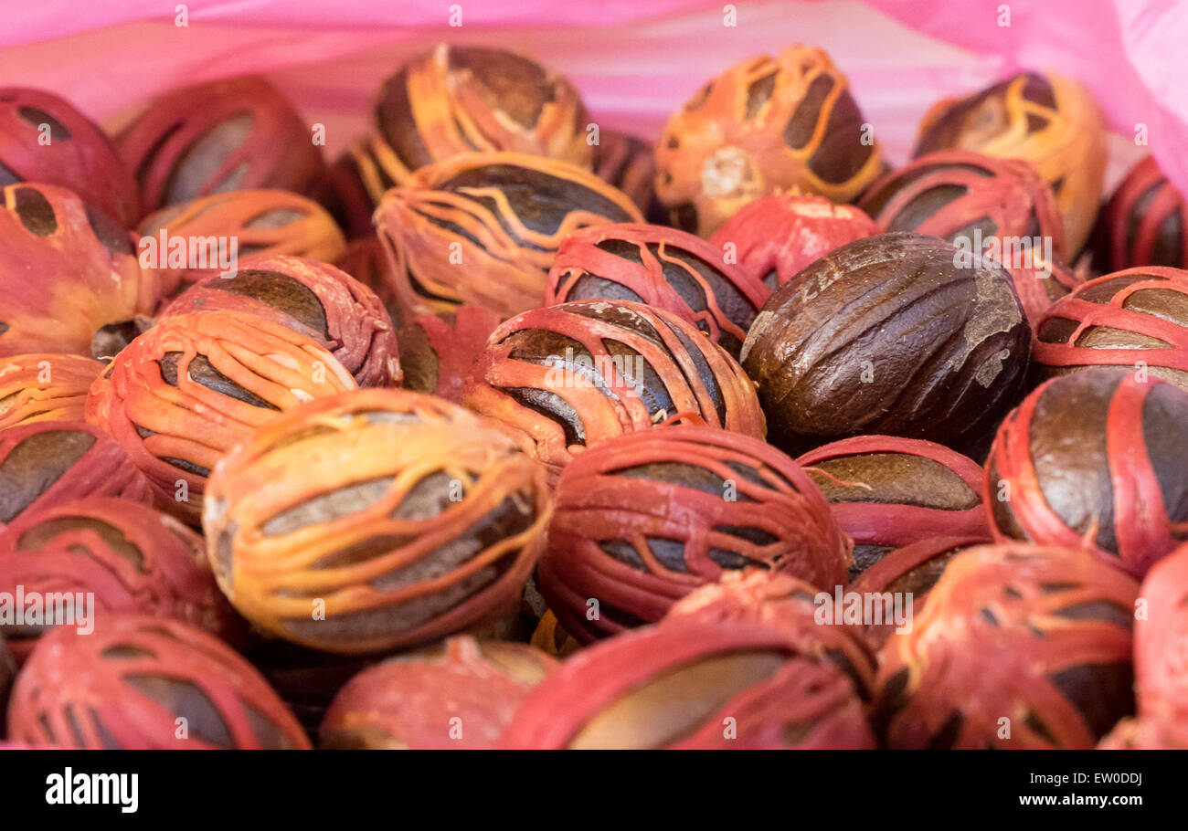 Große Auswahl an Muskatnuss auf der Theke eines lokalen Marktes in Guadeloupe, schöne rote Farbe. Ideal für den Hintergrund. Stockfoto